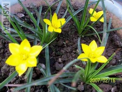 ������С 100_4151.JPG