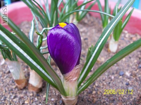 ������С 100_4048.JPG