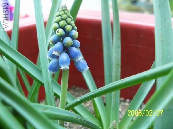 ������С 100_3989.jpg