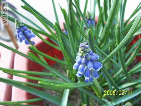 ������С 100_4009.jpg