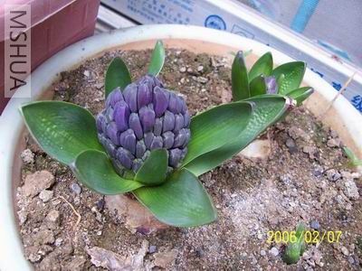 ������С ������С ������2.jpg