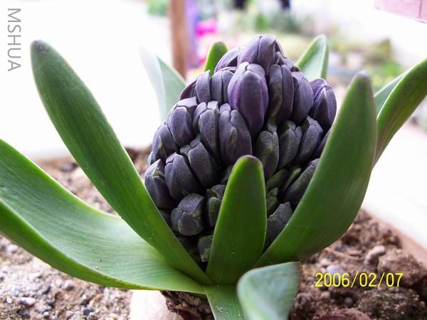 ������С ������.jpg