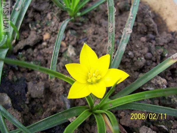 ������С ����1.jpg