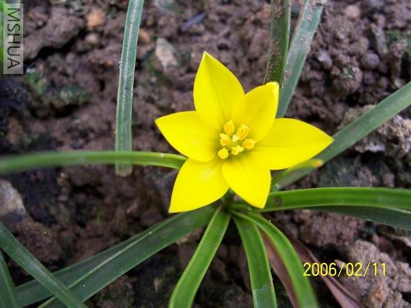 ������С ����2.jpg