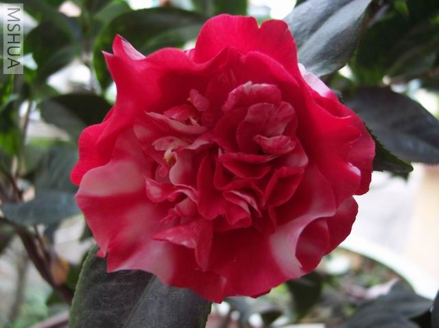 ��о��ǰ�治ͬ