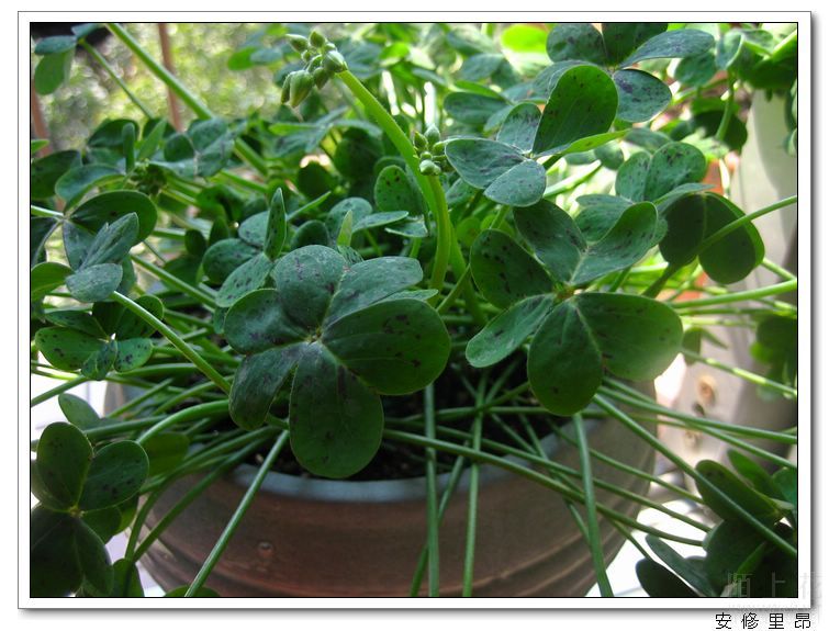 ���� (3).jpg