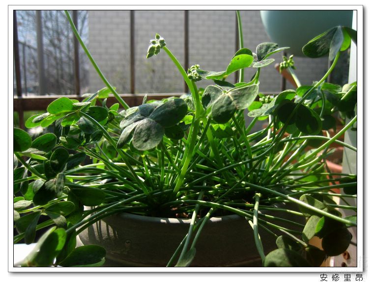 ���� (4).jpg