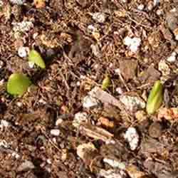 ���� ��Ƭ 002.jpg