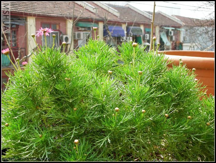 ������ 047.jpg