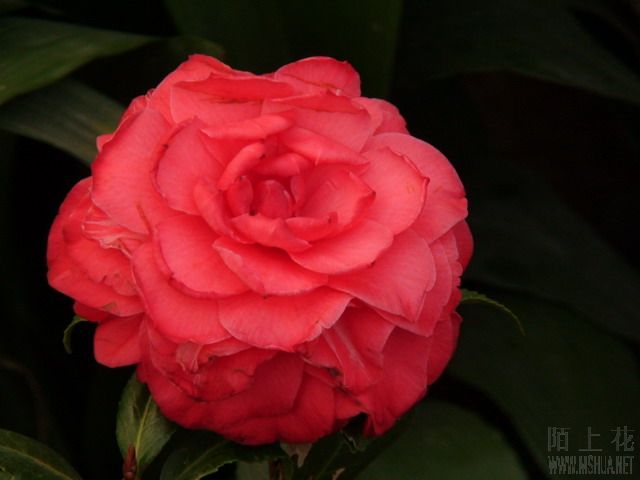 �쿨����-1.jpg