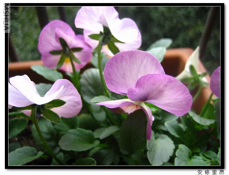 ���� (1).jpg