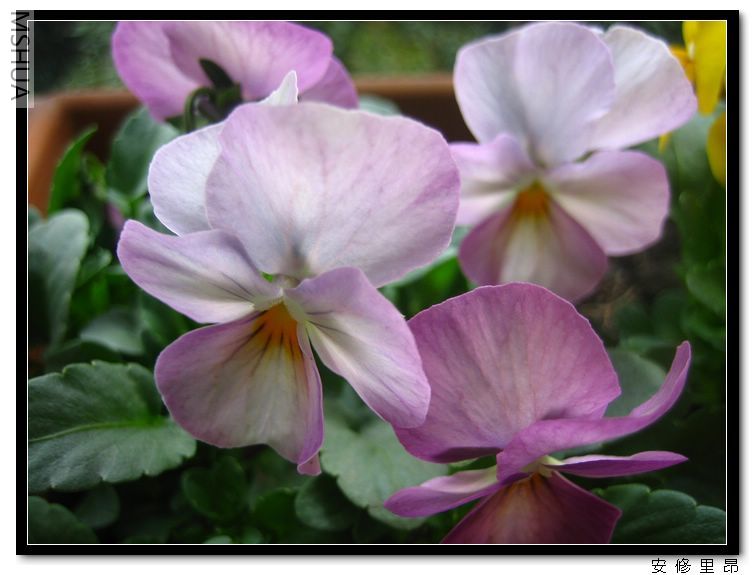 ���� (2).jpg