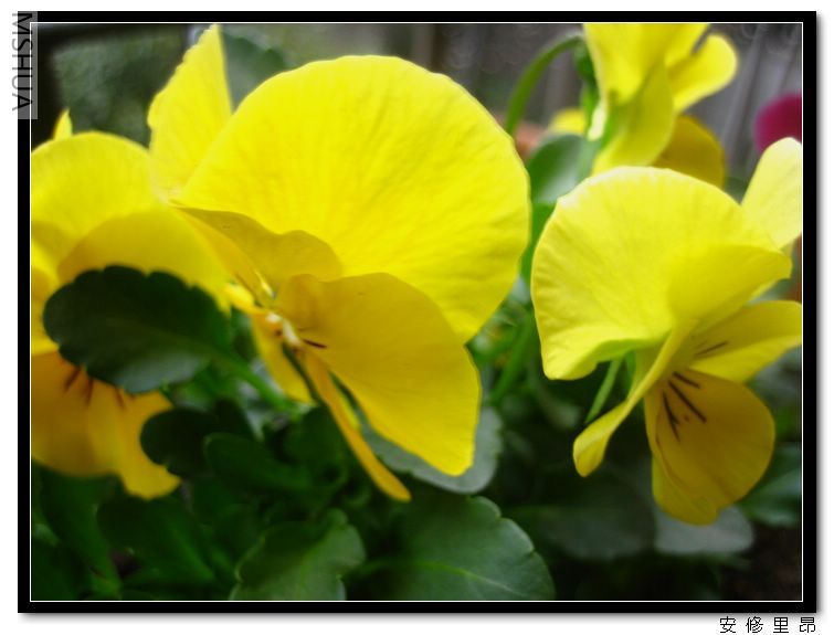 ���� (3).jpg