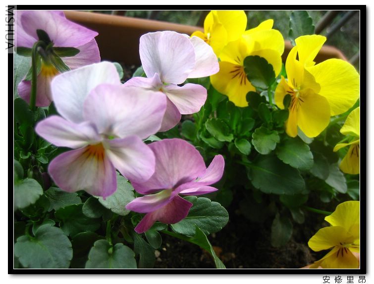 ���� (4).jpg