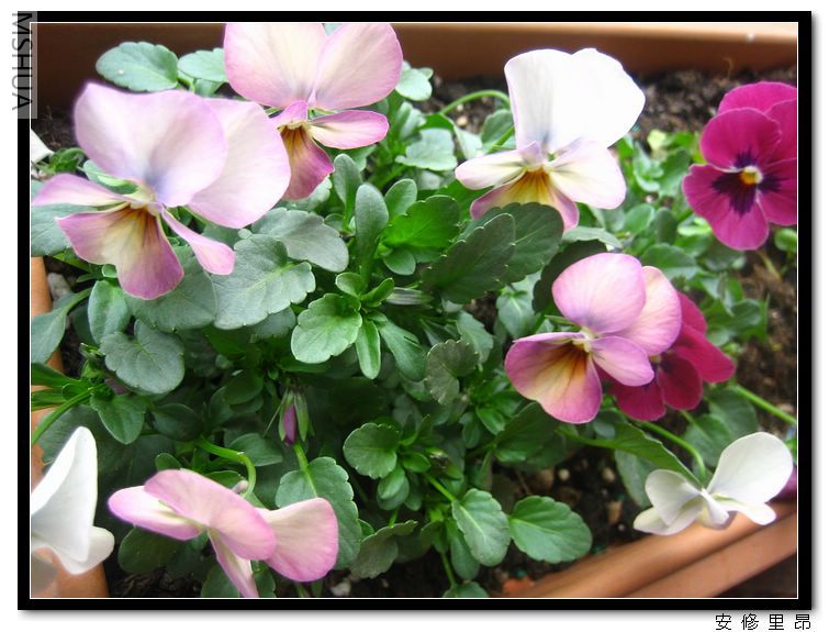 ���� (5).jpg