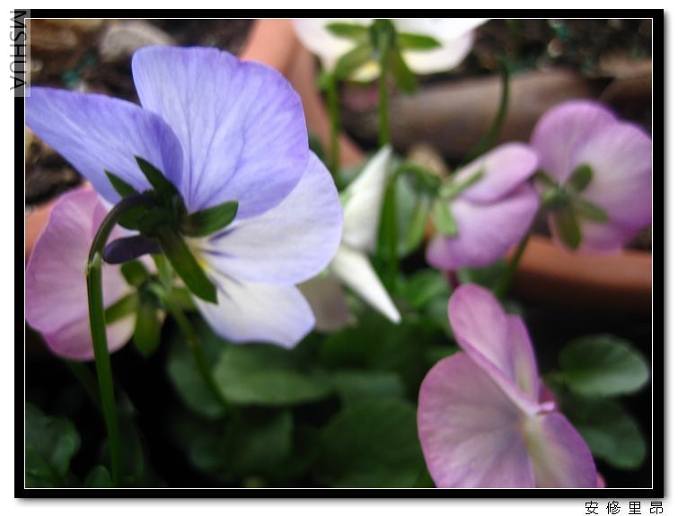 ���� (6).jpg