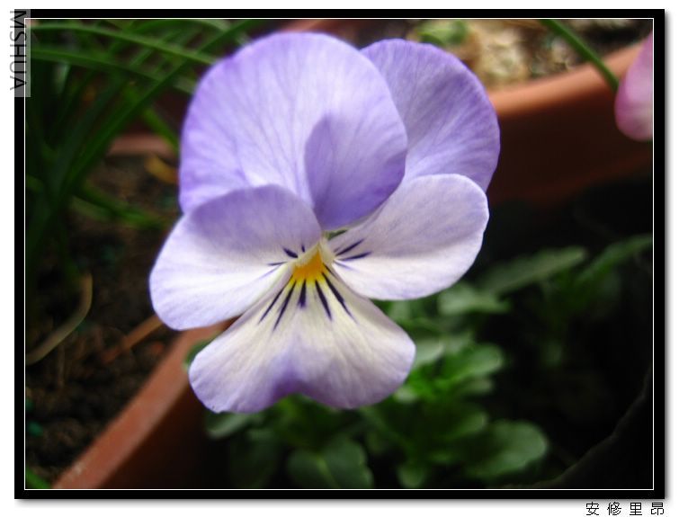 ���� (7).jpg