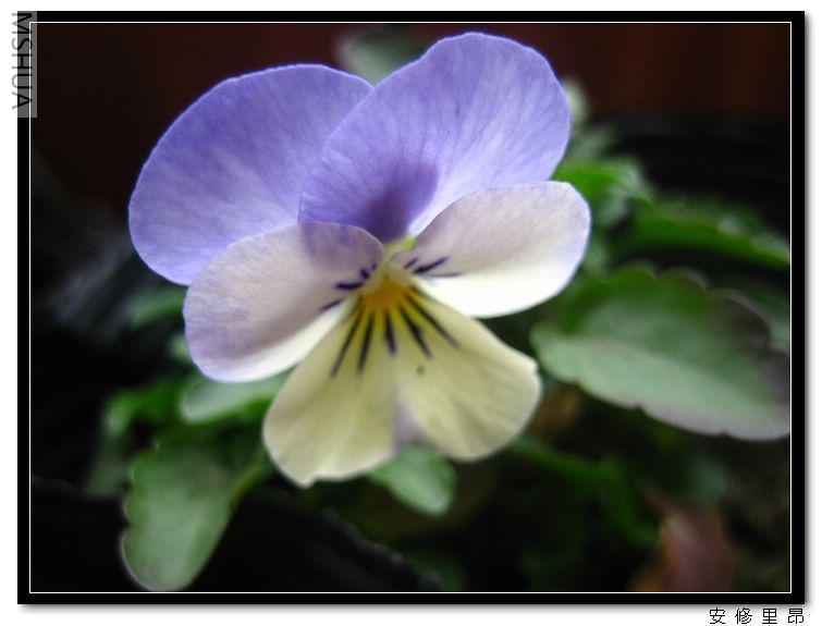 ���� (8).jpg