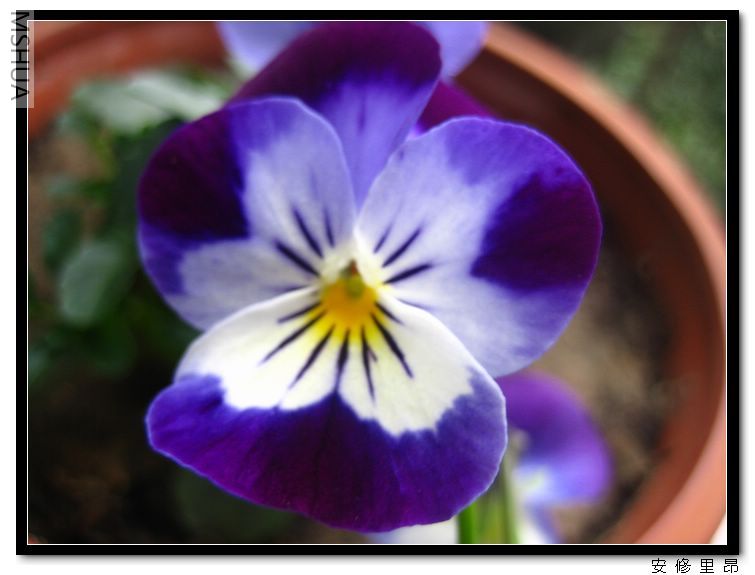 ���� (9).jpg