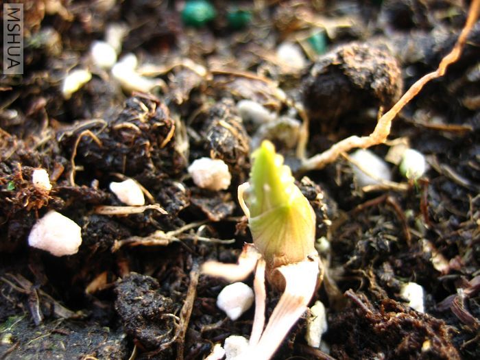 ���� (1).jpg