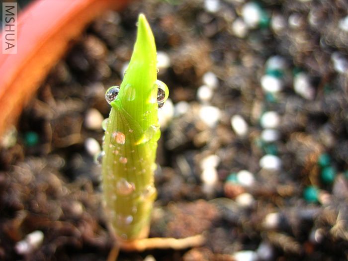 ���� (2).jpg