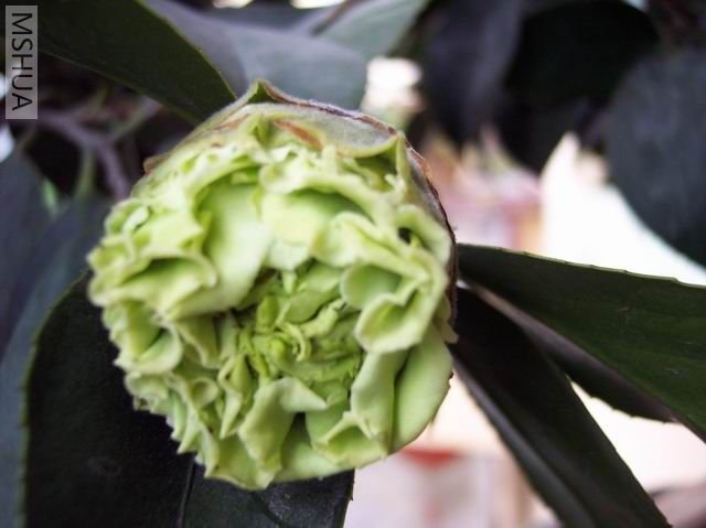 ���ѿ��Ŀ���