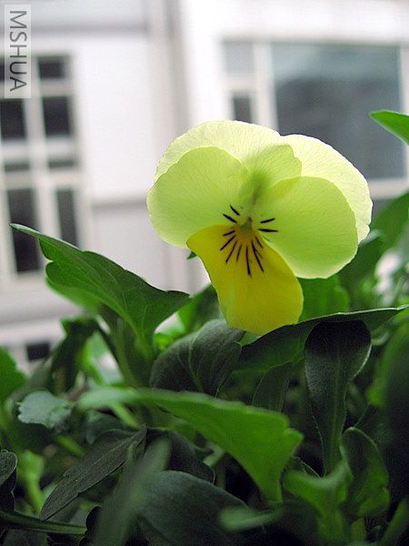 ��ת IMG_3593.JPG