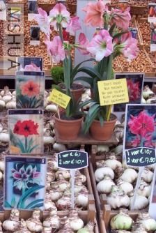 ���������Ǻ�,�����ֳ����Ļ�Ҳ��,�ö�����Ǯ�ɲ�����Ŷ.ʲô���Ļ�ɫʲô��,һ�㶼û��---1����С���� ...