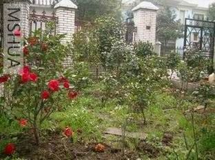 ��Ƭ20070228 046.jpg