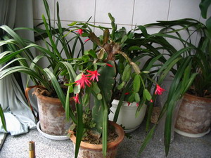 �ڶ��͵����ĺ�Ӱ