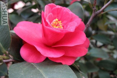 2007.3.3 042_��С��С.jpg