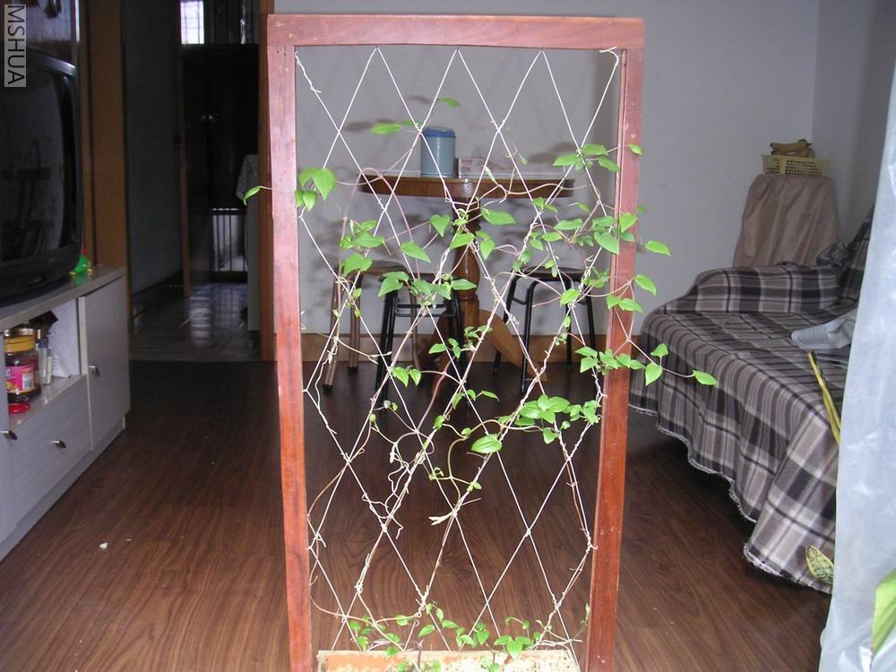 ������С ������ľ����.JPG