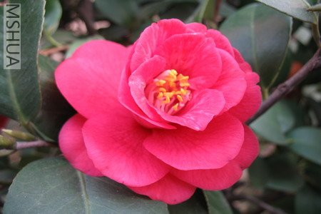 2007.3.3 041_��С��С.jpg