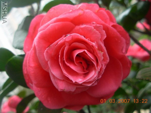 DSCN1306.JPG