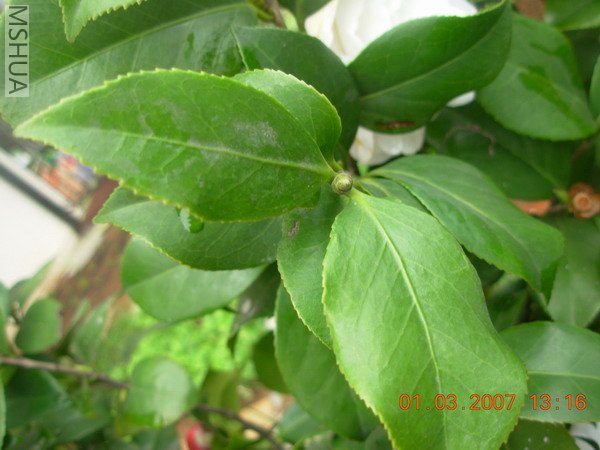 DSCN1304.JPG