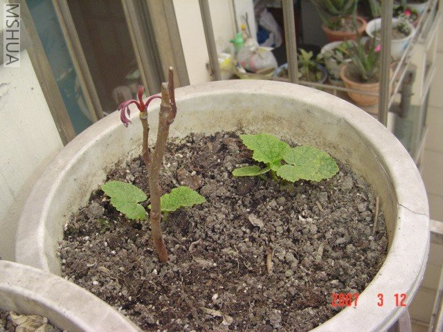 �㴻���������һ����