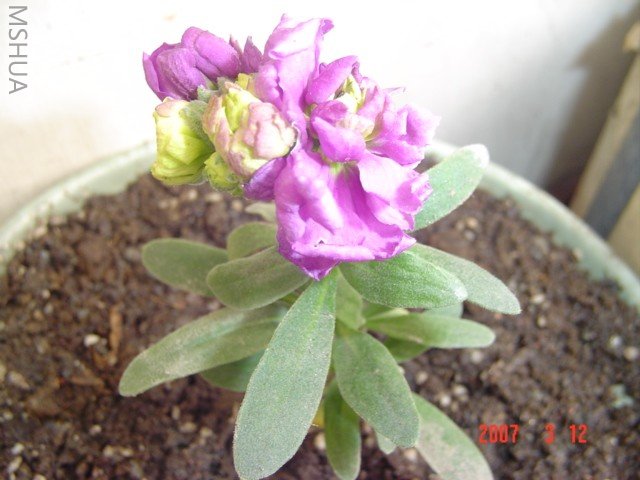 СС��������