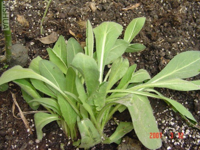 �﹣���ڵ����˾�