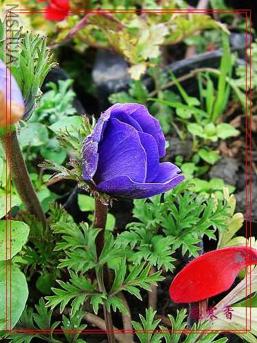 CIMG6109��.jpg