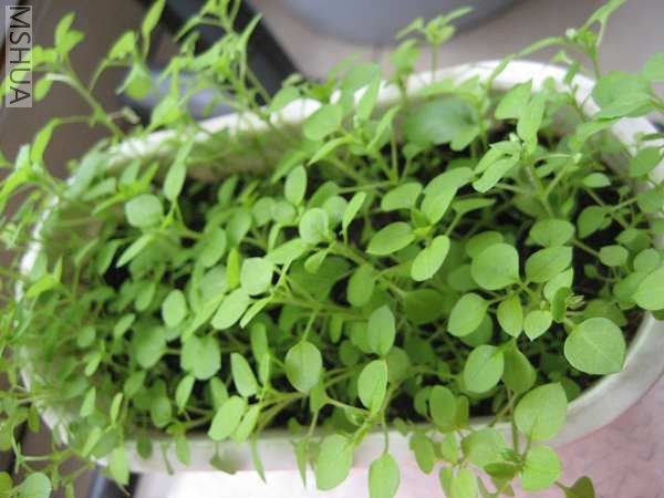 ���˾й�û����������ЩС�һ�