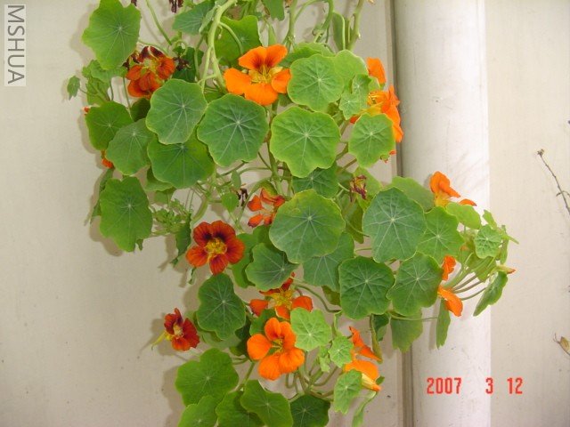 �������