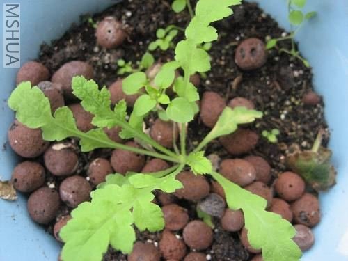 Ҳ��֪������˭