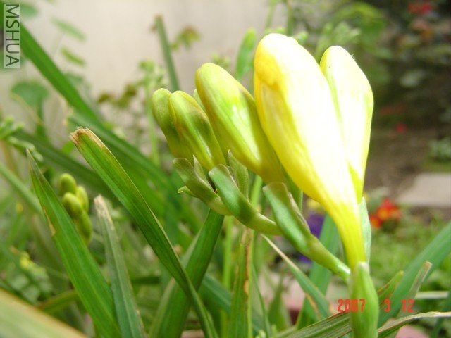 �������