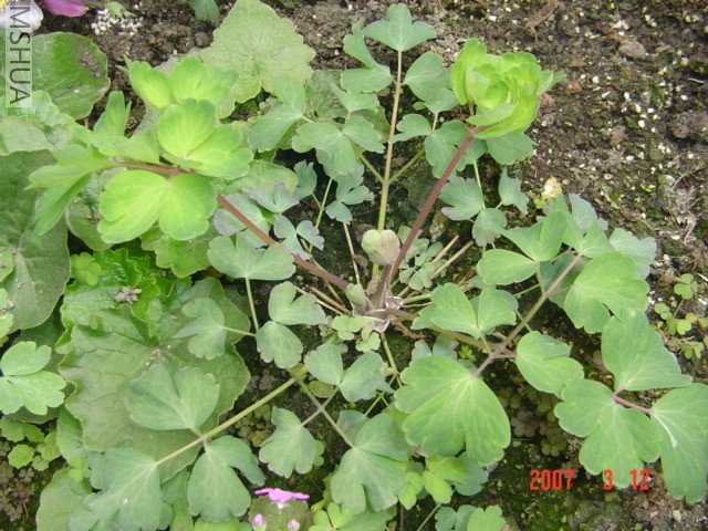 ����һ��