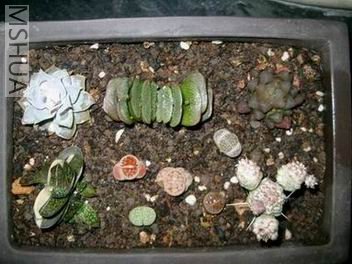 ��Ƭ20070228 100.jpg