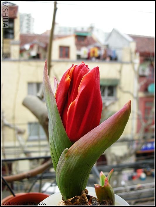 ��ɫ����̨ 049_nEO_IMG.jpg