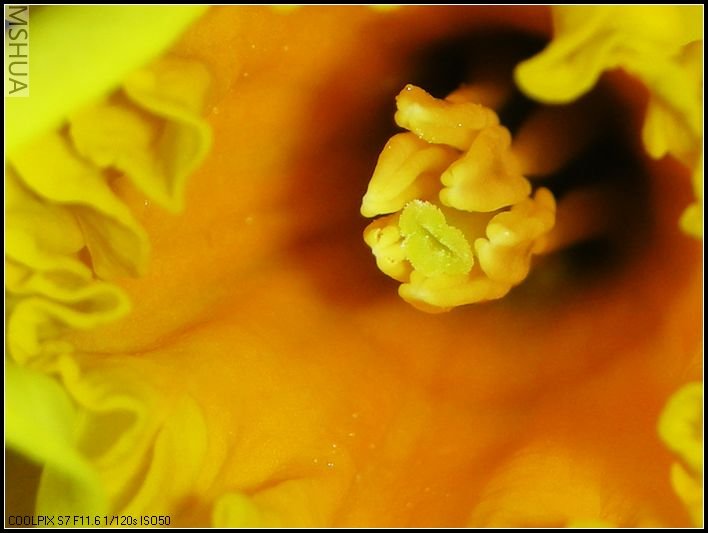 ��ɫ����̨ 009_nEO_IMG.jpg