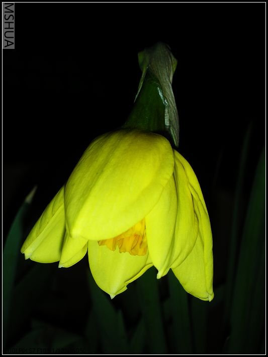 ��ɫ����̨ 006_nEO_IMG.jpg