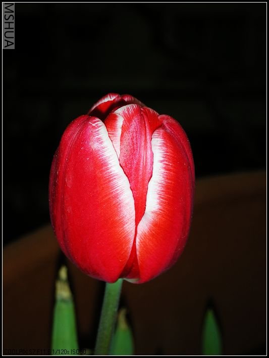 �ױ�Խ��Խ������