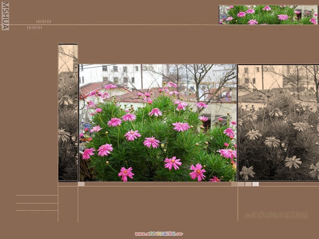 ��ɫ����̨ 066_nEO_IMG.jpg